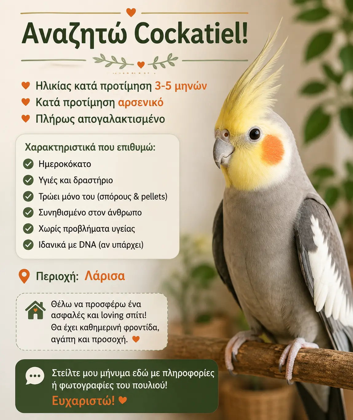 Αναζητώ Cockatiel κατά προτίμηση αρσενικό ηλικίας 3-5 μηνών