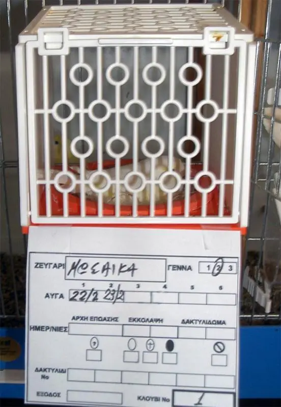 Συνημμένη εικόνα 10577