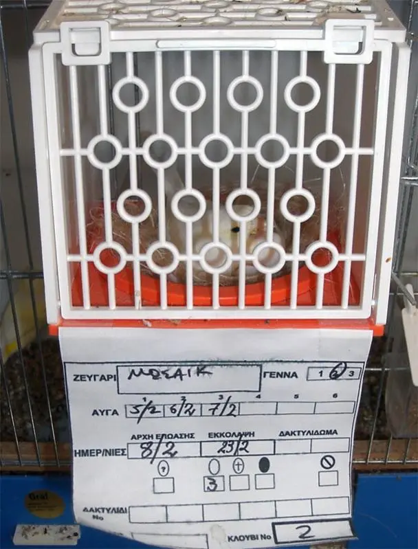 Συνημμένη εικόνα 10578