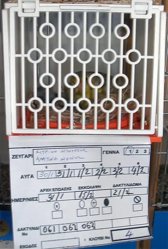 Συνημμένη εικόνα 10579