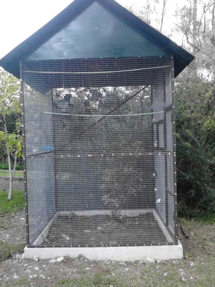 Συνημμένη εικόνα 27010