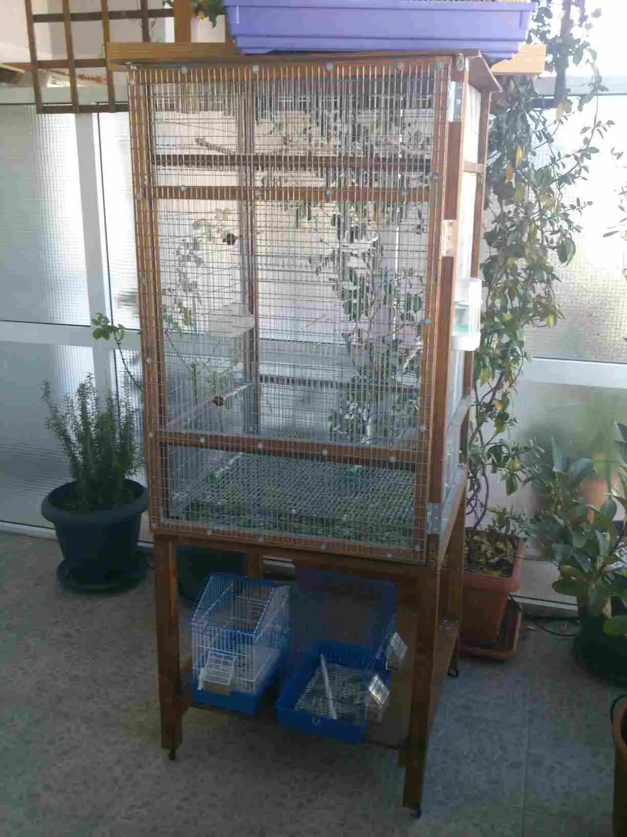 Συνημμένη εικόνα 27366