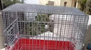 Συνημμένη εικόνα 27876