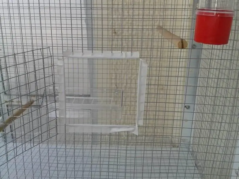 Συνημμένη εικόνα 28470