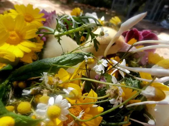 Συνημμένη εικόνα 28544