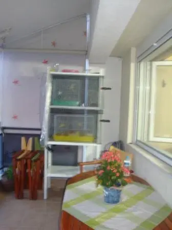 Συνημμένη εικόνα 28666