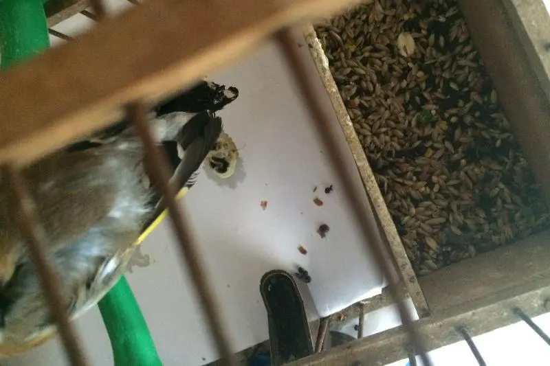 Συνημμένη εικόνα 29662