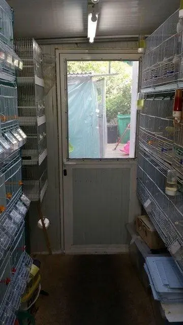 Συνημμένη εικόνα 29811