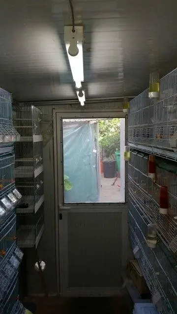 Συνημμένη εικόνα 29813