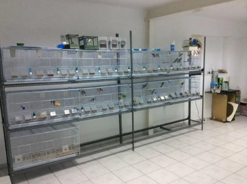 Συνημμένη εικόνα 29864