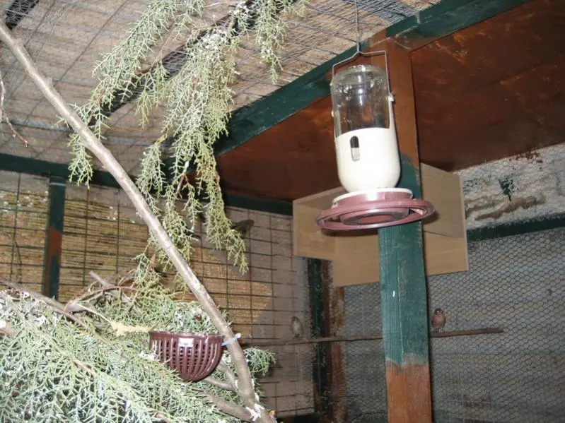 Συνημμένη εικόνα 3075