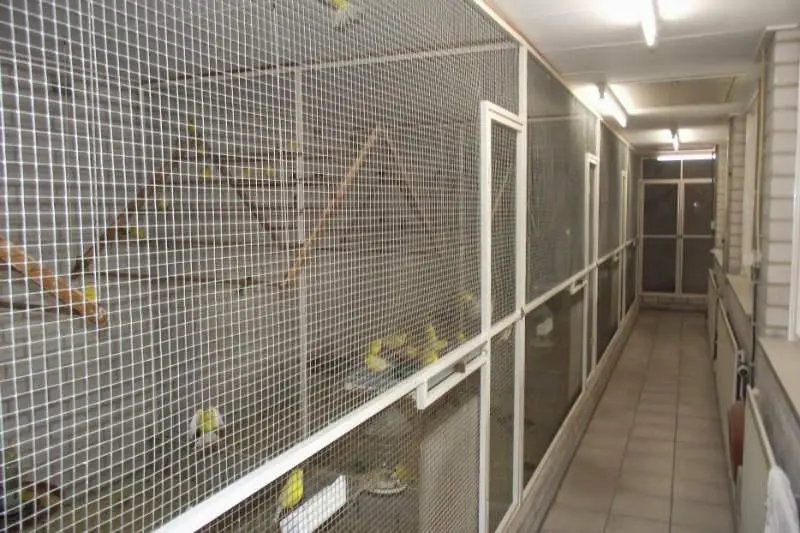 Συνημμένη εικόνα 30089