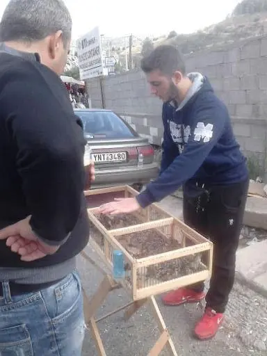 Συνημμένη εικόνα 30104