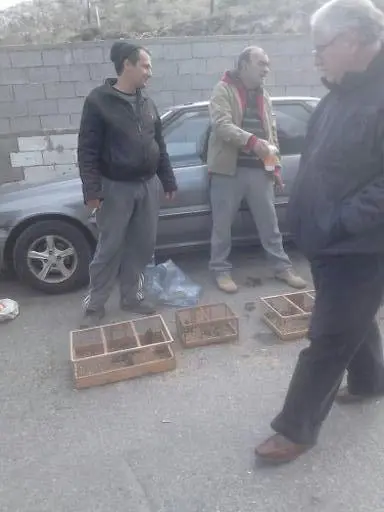 Συνημμένη εικόνα 30106