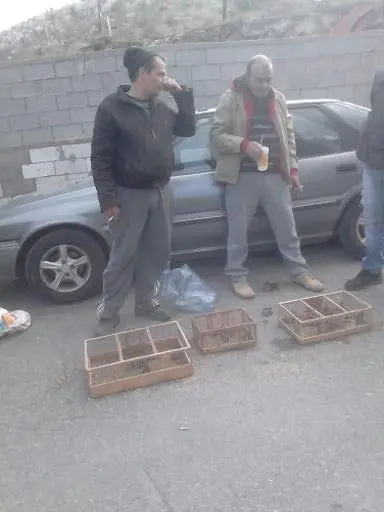 Συνημμένη εικόνα 30107
