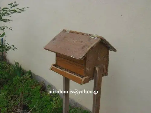 Συνημμένη εικόνα 30181