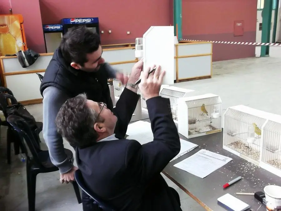 Συνημμένη εικόνα 30412