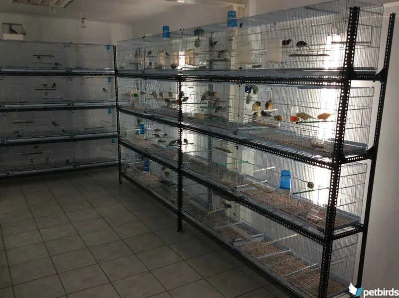 Συνημμένη εικόνα 30931