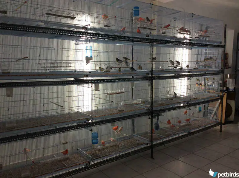 Συνημμένη εικόνα 30932