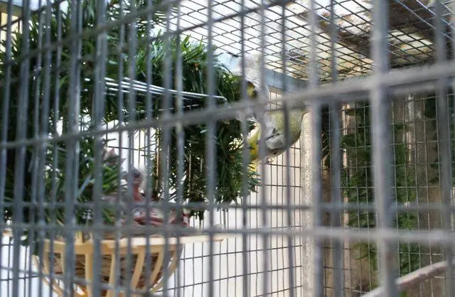 Συνημμένη εικόνα 31029