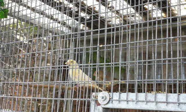 Συνημμένη εικόνα 31030