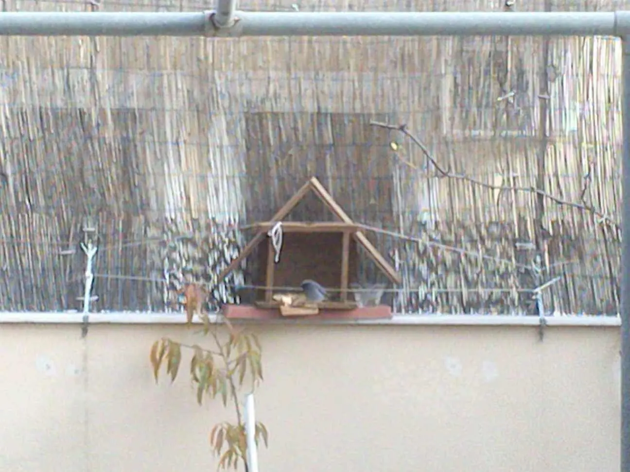 Συνημμένη εικόνα 31418