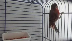 Συνημμένη εικόνα 31475