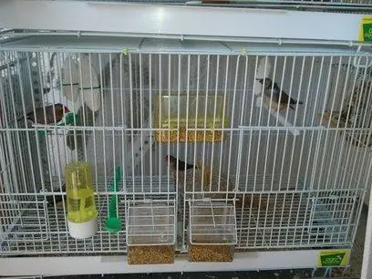 Συνημμένη εικόνα 32423