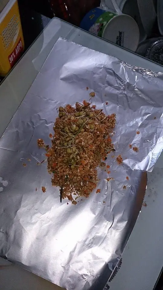 Συνημμένη εικόνα 32456