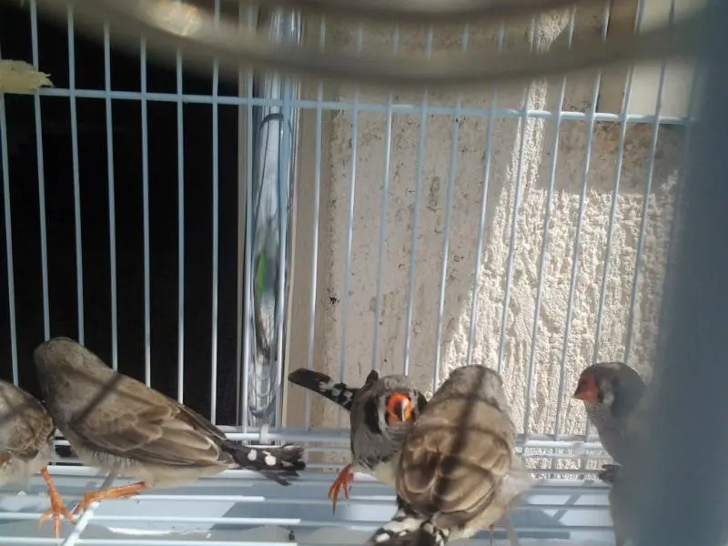 Συνημμένη εικόνα 32614