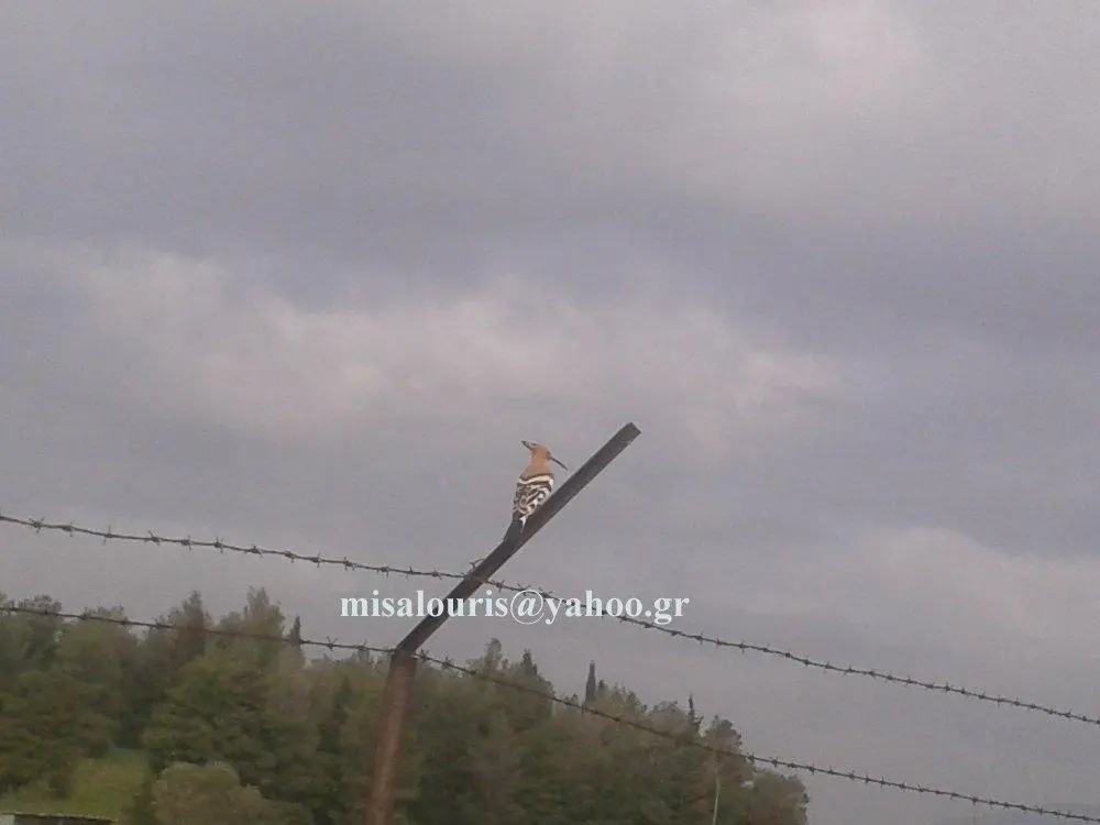 Συνημμένη εικόνα 32622