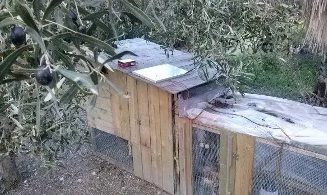 Συνημμένη εικόνα 32636