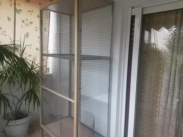 Συνημμένη εικόνα 32729