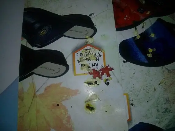 Συνημμένη εικόνα 32746