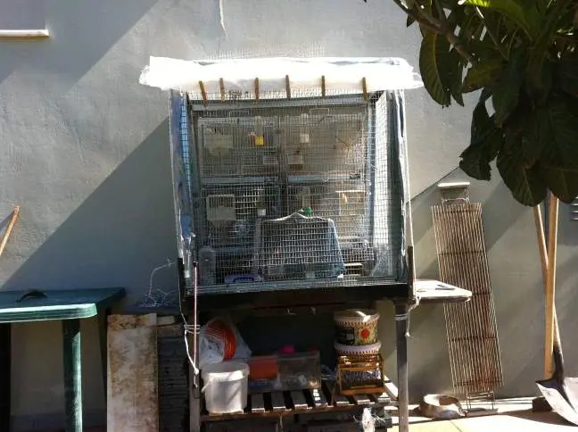 Συνημμένη εικόνα 32905