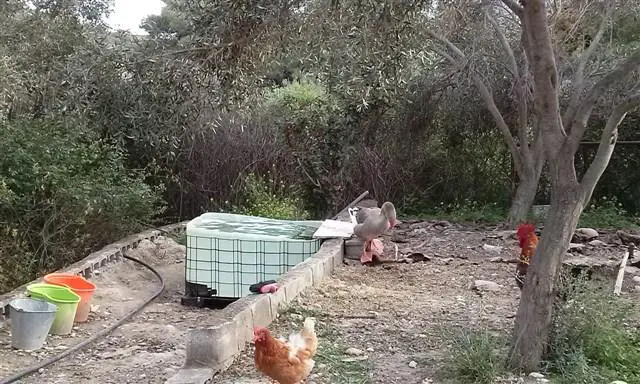 Συνημμένη εικόνα 32910