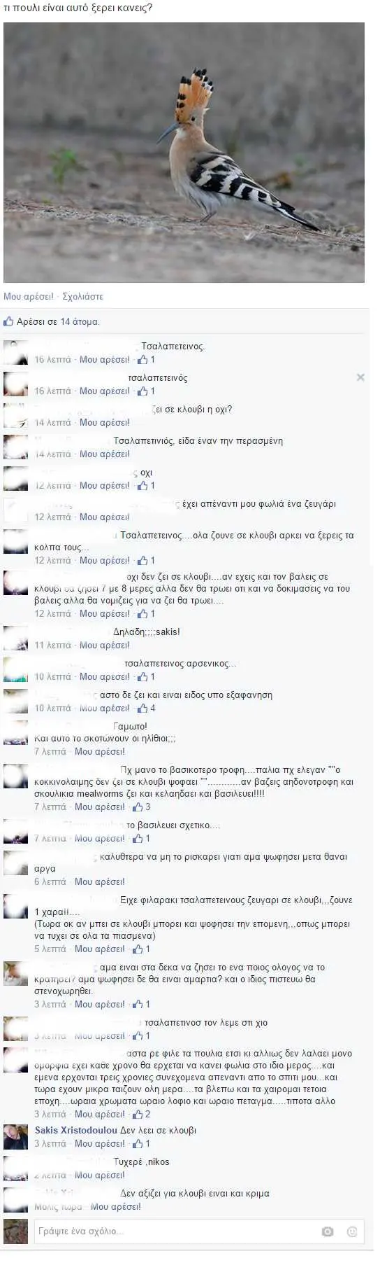 Συνημμένη εικόνα 33289