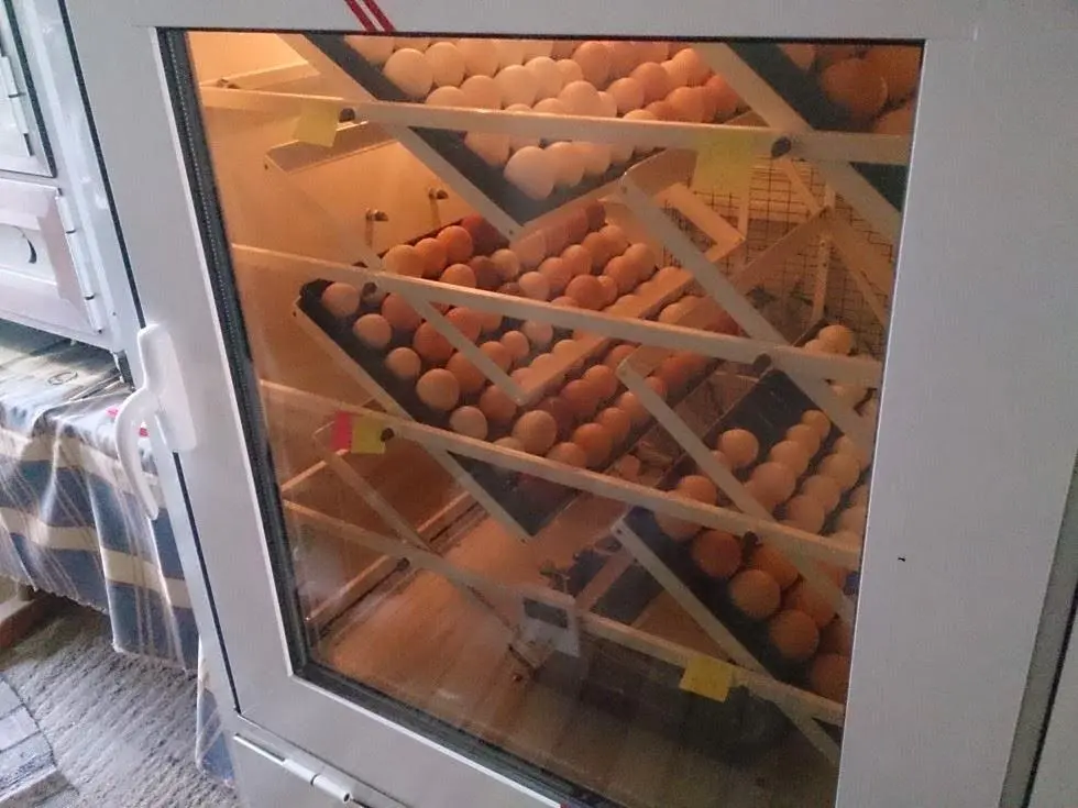 Συνημμένη εικόνα 33325