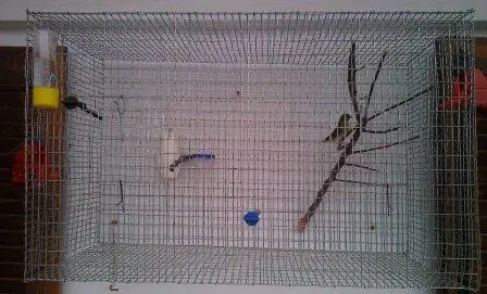Συνημμένη εικόνα 33714