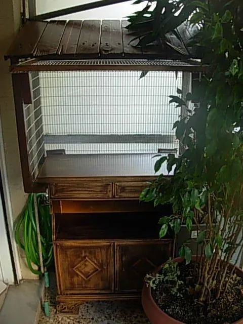 Συνημμένη εικόνα 33839