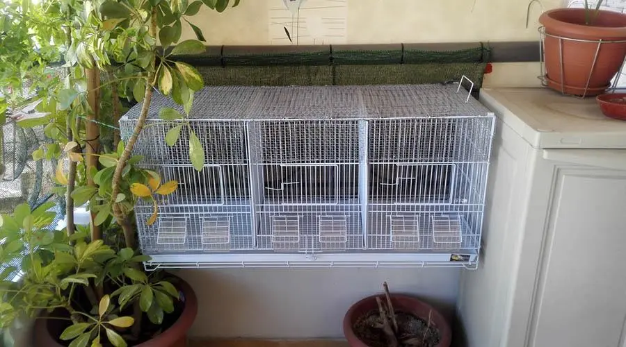 Συνημμένη εικόνα 34076