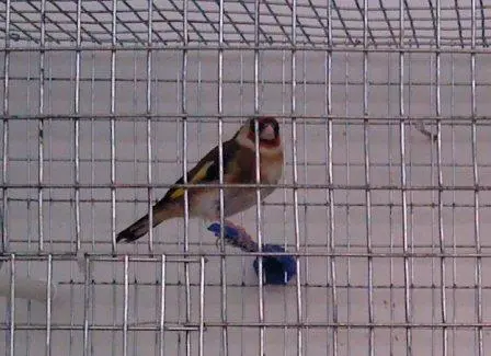 Συνημμένη εικόνα 34135