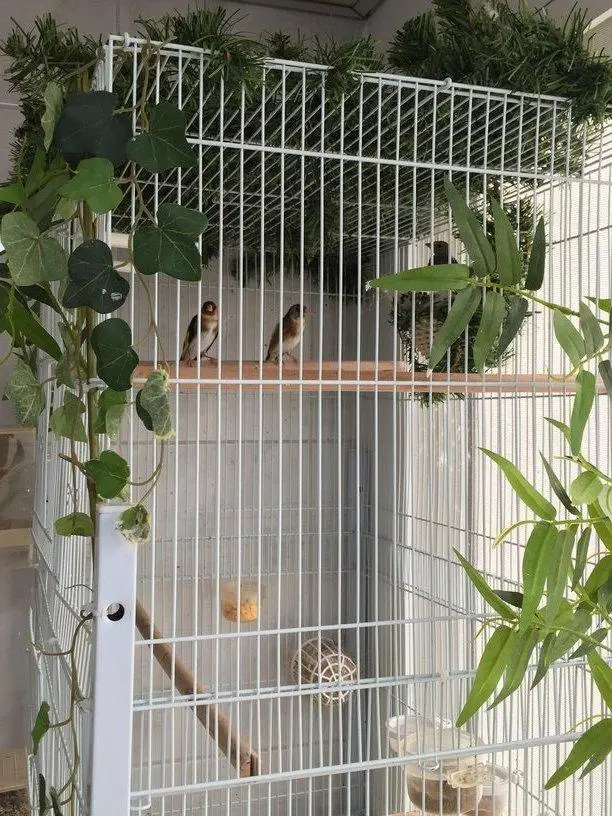 Συνημμένη εικόνα 34704