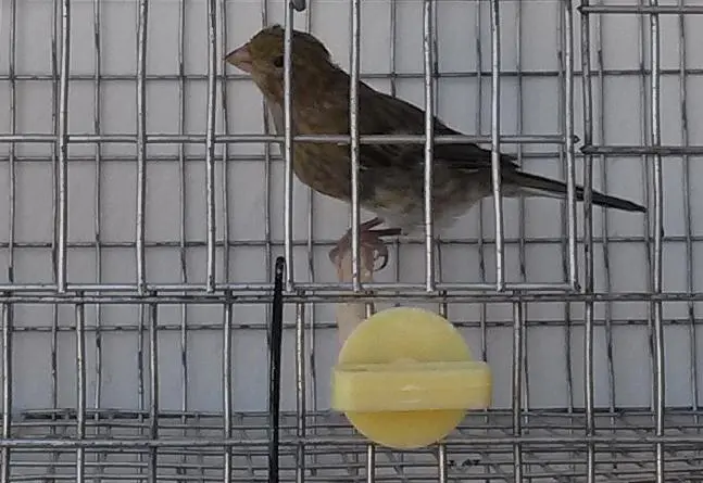 Συνημμένη εικόνα 34928