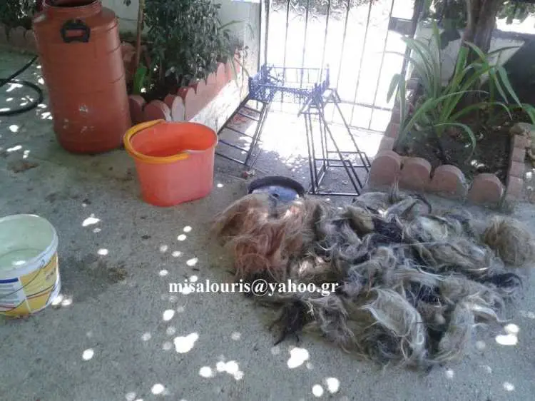 Συνημμένη εικόνα 35215
