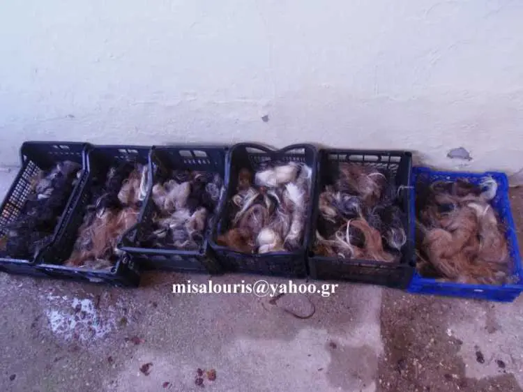 Συνημμένη εικόνα 35217