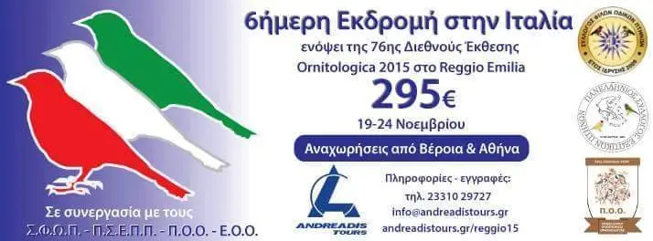 Συνημμένη εικόνα 35240