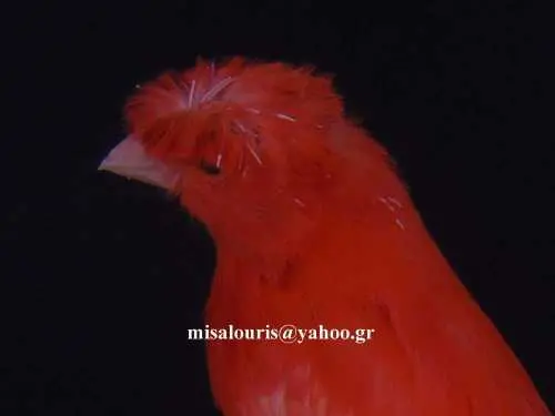 Συνημμένη εικόνα 35277