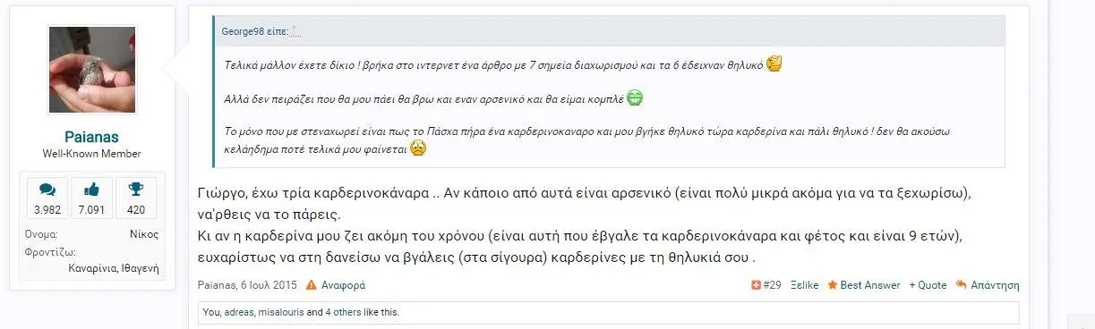 Συνημμένη εικόνα 35602