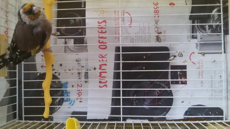 Συνημμένη εικόνα 35762
